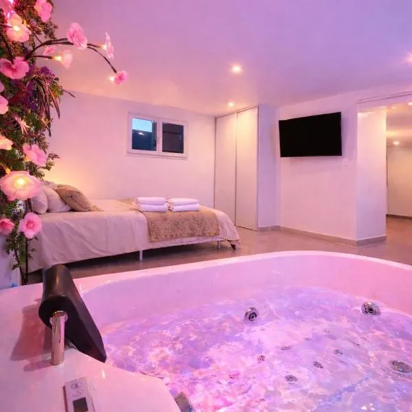 Logement entier avec jacuzzi proche futuroscope, hotel i Naintré
