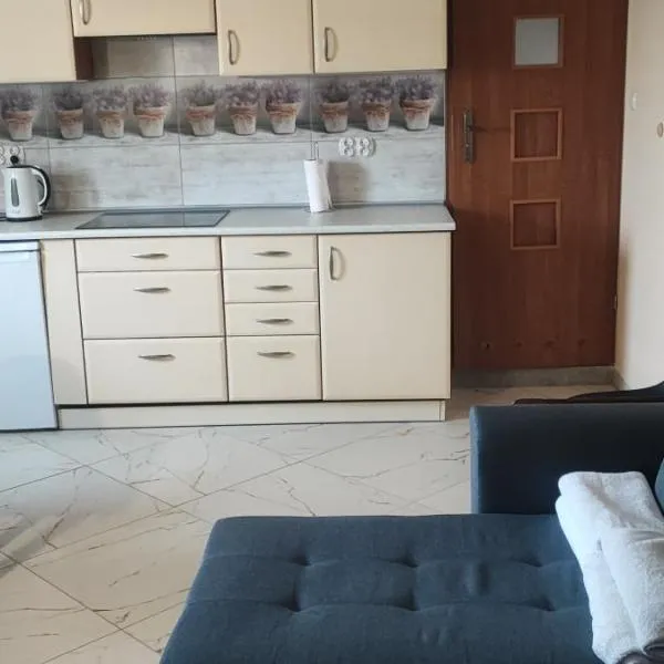 Noclegi kawalerka apartament w centrum Dzierżoniowa podwórko grill wynajm krótkoterminowy, hotelli kohteessa Dzierżoniów