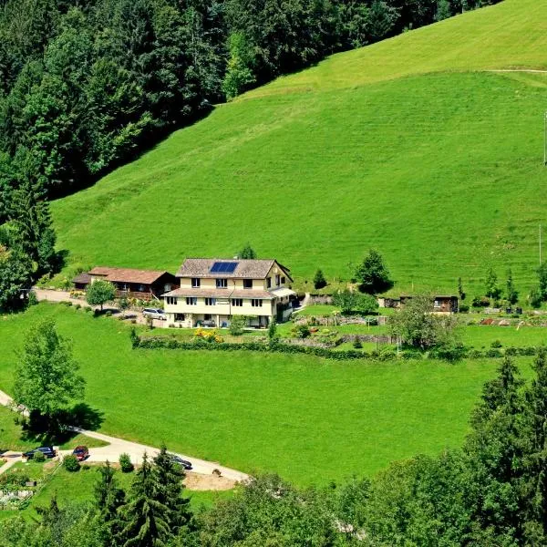 Sonnmatt Bergpension & Gesundheitszentrum, hotel in Krummenau