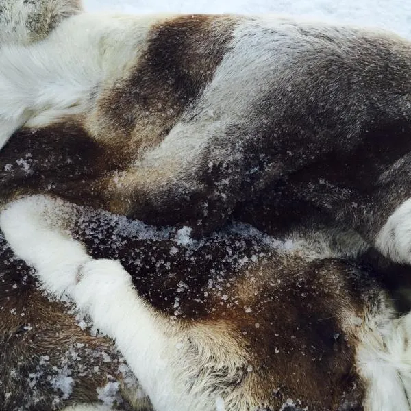 Harju-Hill Villa, ξενοδοχείο στο Ροβανιέμι