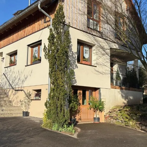 Gite du Ried, Hotel in Bischwiller