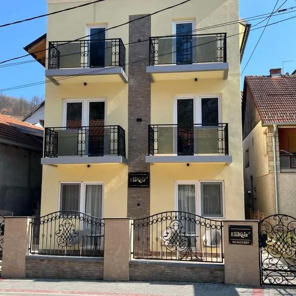 Eliksir, hotel di Gornja Trepča