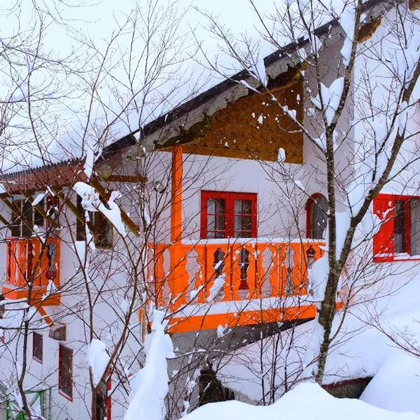 Winterfell Hakuba, hotel in Hakuba