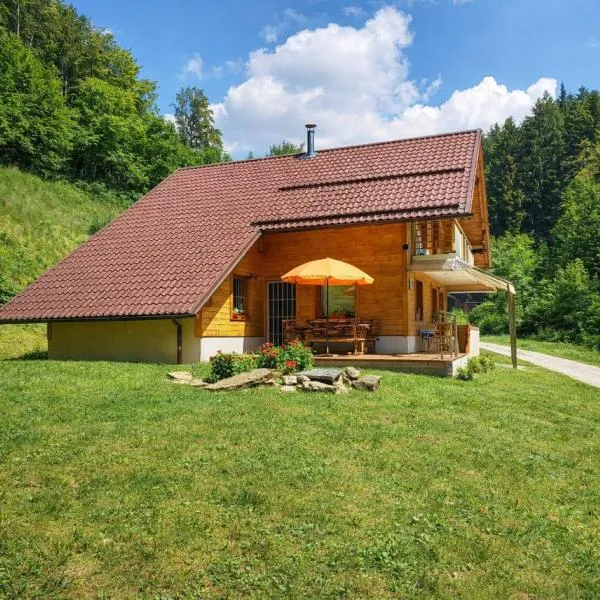 Hiša Lunna - Apartments in a Forest Paradise – hotel w mieście Vitanje