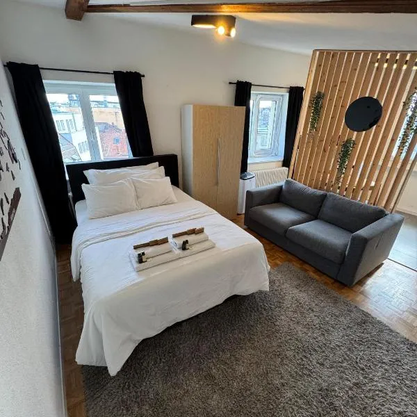 Cosy attic flat Lausanne center, ξενοδοχείο στη Λωζάνη