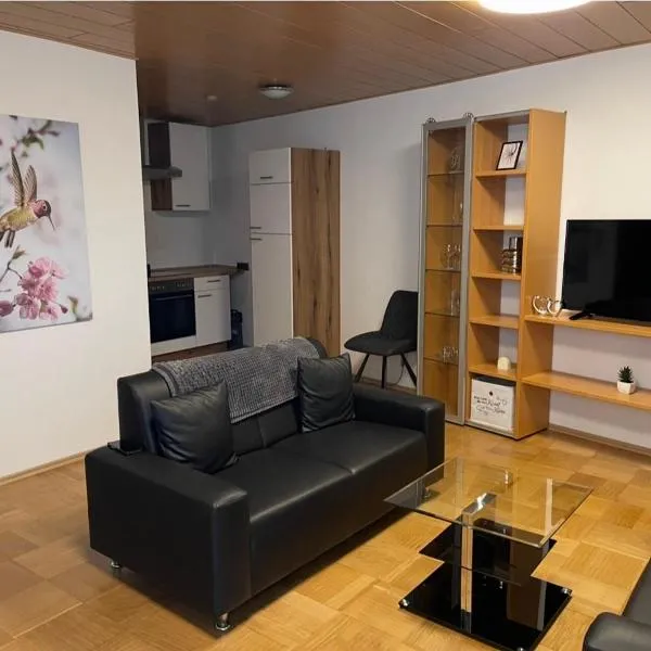Ferienwohnung am Damm, hotel in Ingelheim am Rhein