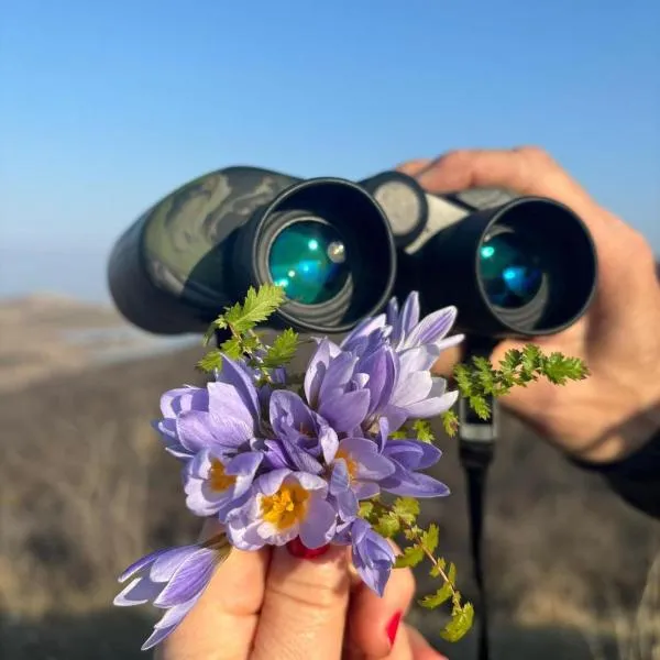 Getaway Nook โรงแรมในDedoplis Tskaro