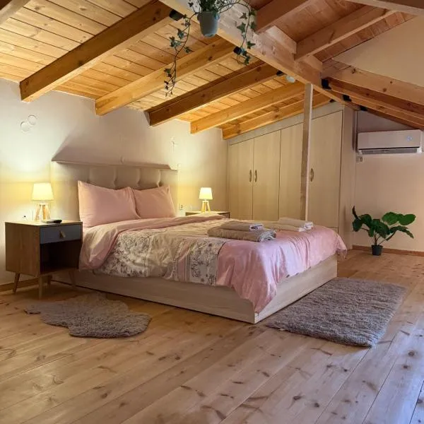 The Countryside Loft、Katsikásのホテル