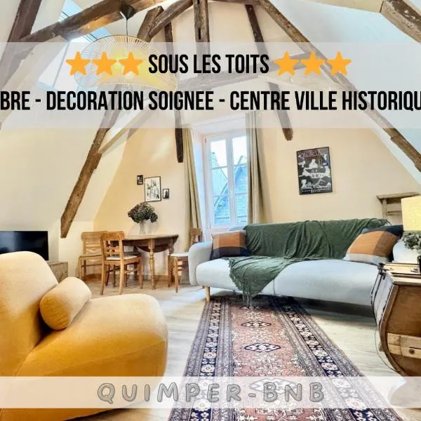 Sous les toits - charmant T2 en plein centre-ville, hotel v destinaci Quimper