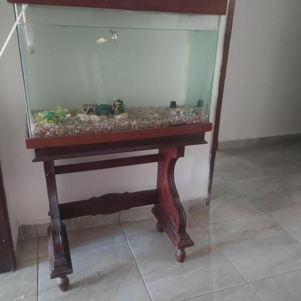 Casa Arcoverde são João - Foto 3