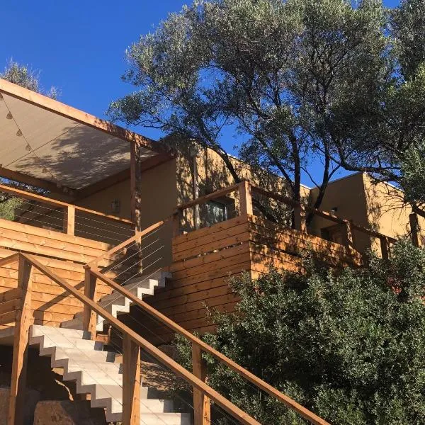 Maison au milieu des oliviers, hotel u gradu 'Lumio'