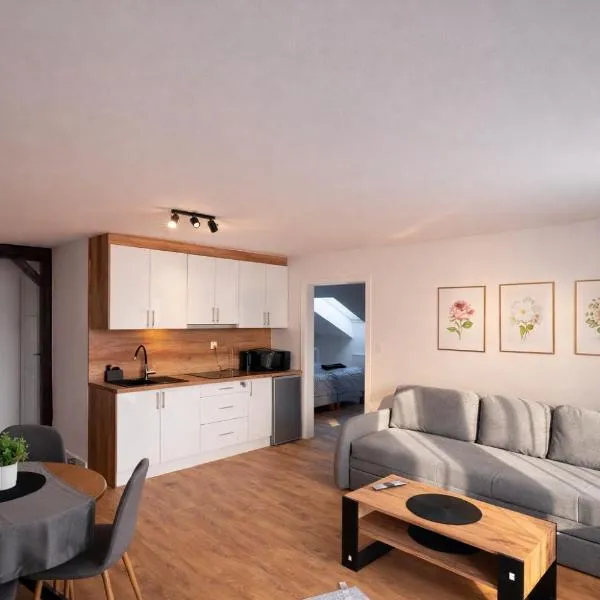Apartamenty Nad Pilicą - Klimatyzacja - Sulejów, hotelli kohteessa Sulejów