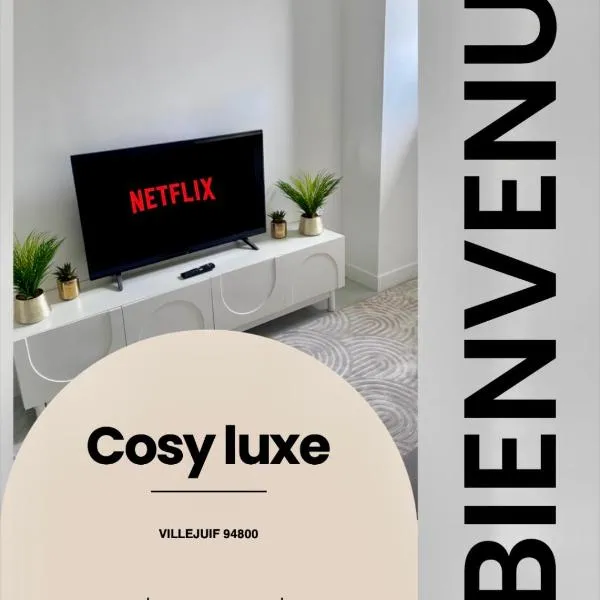 Cozy luxury apartment near Paris, hotel a Villejuif