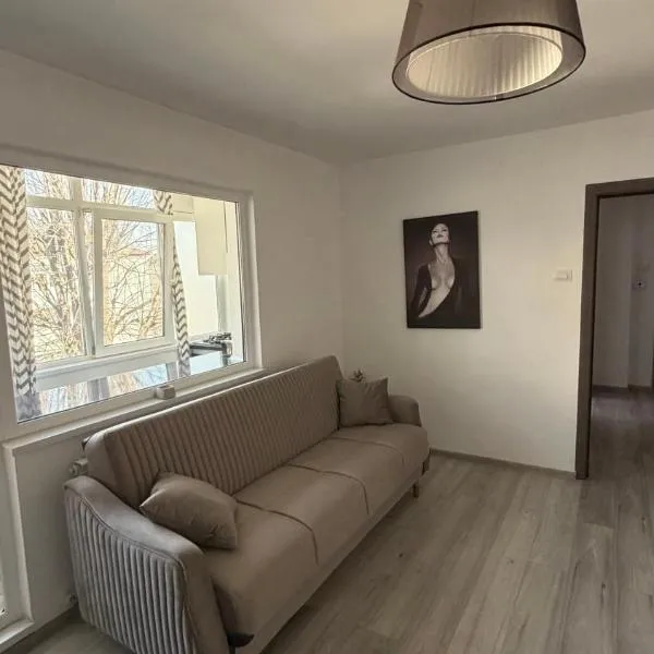 Lion Crib, hotel di Bacău