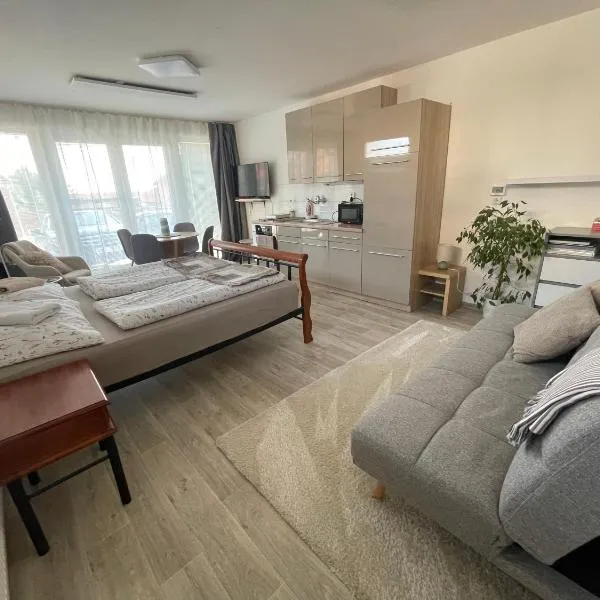 Apartmán Mašovice u Znojma、Mašoviceのホテル