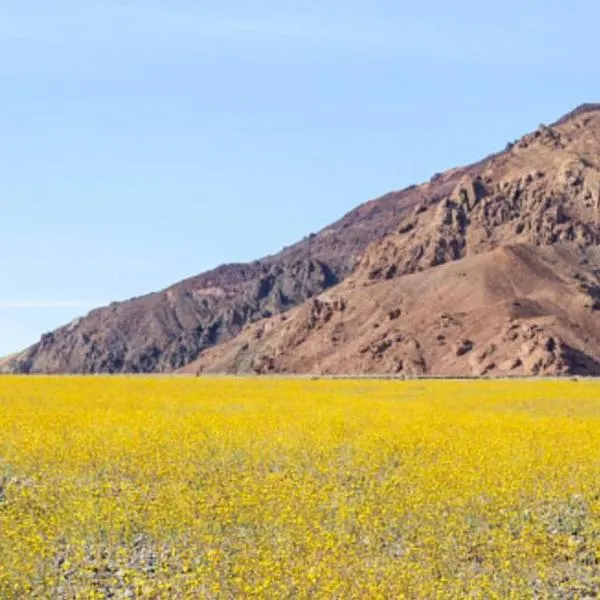 Sunrise Springs, отель в городе Парамп