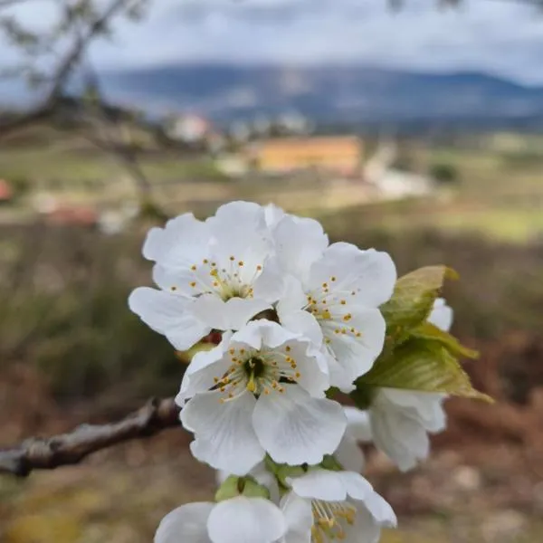 Quinta do Limite - Agroturismo, hotel in Covilhã