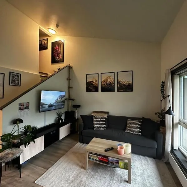 Small apartment in the middle of Gol city center, מלון בגול