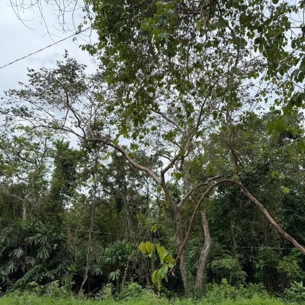 Bahay El Nido, hotel El Nidóban