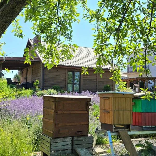 Agroturystyka u Joli, hotel Pacanów városában