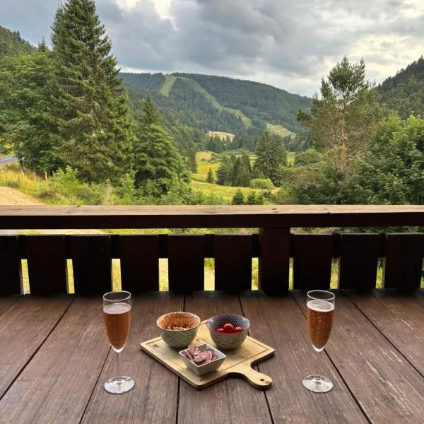L'appart des familles sportives!, hôtel à La Bresse