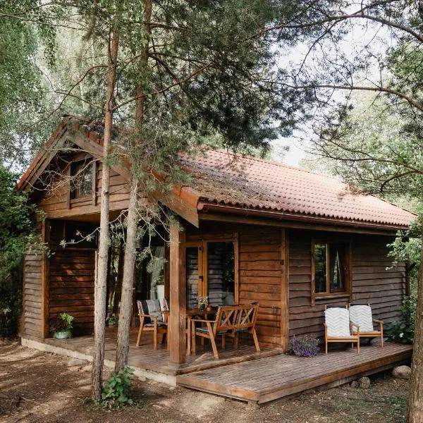 Beržų namelis - Birch cabin, ξενοδοχείο σε Kučiūnai