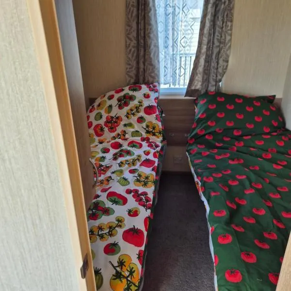 Woodys caravan sunnymede 2, hotel in Ingoldmells
