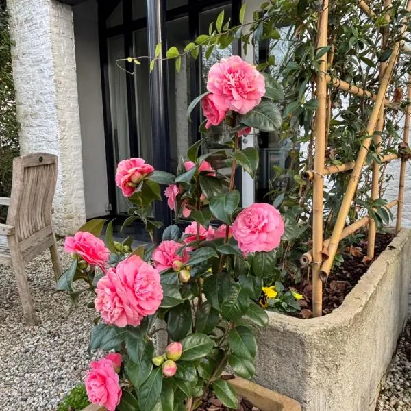 Viesnīca BelleVie Apartment, Eijsden-Maastricht pilsētā Eijsden