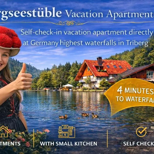 Self-check-in Ferienwohnungen & Apartments am Bergsee, готель у місті Тріберг