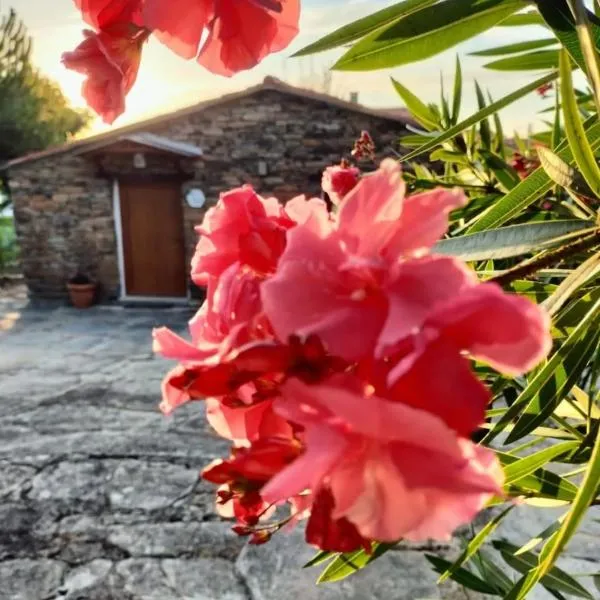 Casa da Eira, hotel i Pinheiro de Coja