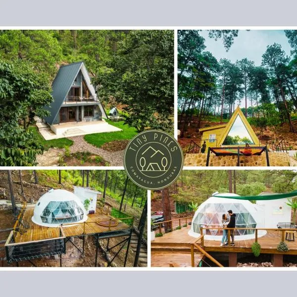 Tiny Pines A-Frame Cabin, Domes and Luxury Glamping Site, hotel a El Rodeo