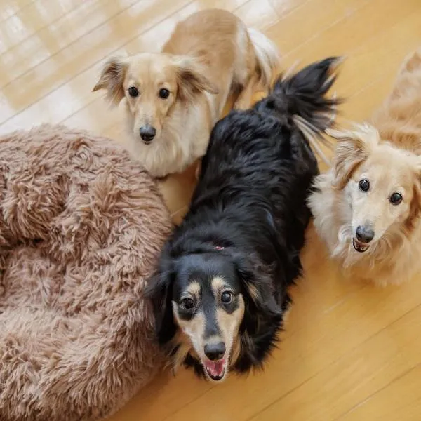 Viesnīca KAMENOI HOTEL Yamato Heguri pilsētā Heguri