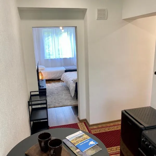 Karula Stay - 1 Bedroom City Apartment, hotelli kohteessa Antsla