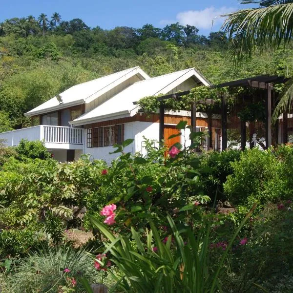 The Amazing Villa，Anepahan的飯店