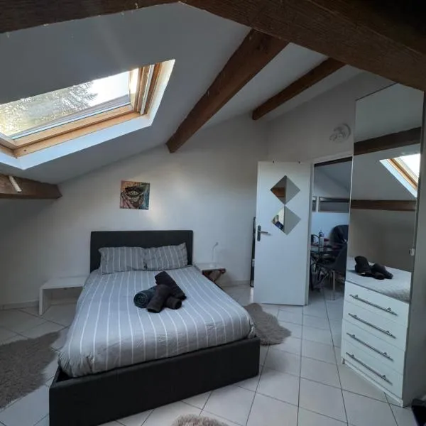 Jolie Appartement 3 pièces avec Piscine, hotel en La Ferté-Gaucher