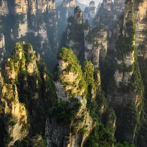 Picturesque Forest Lodge-Near the Ticket Gate-English Services, viešbutis mieste Džangdziadzijė