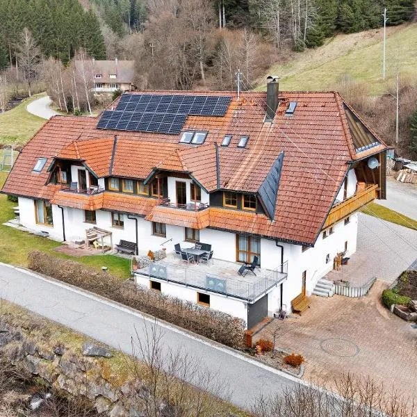 Gästehaus Herrmann, hotel in Bad Rippoldsau-Schapbach