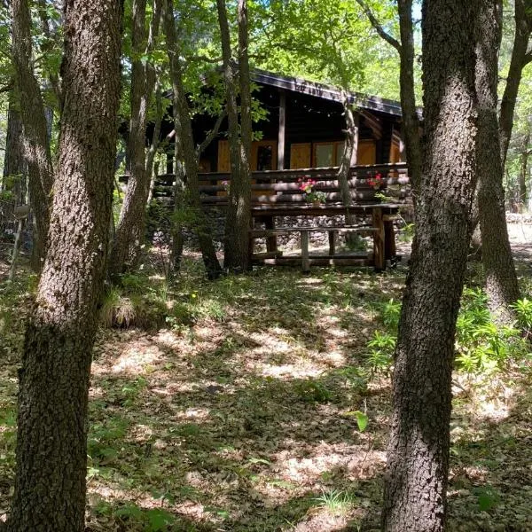 Woods Etna Chalet, hotel v mestu Ragalna