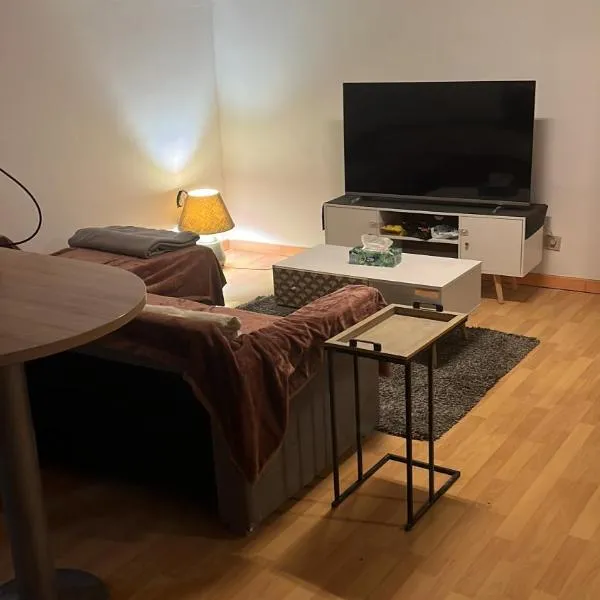 Appartement 4 personnes, hotell i Condé-sur-lʼEscaut