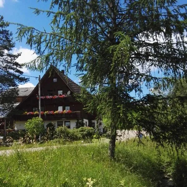 Konradenhäusle, hotel u gradu Titize-Nojštat