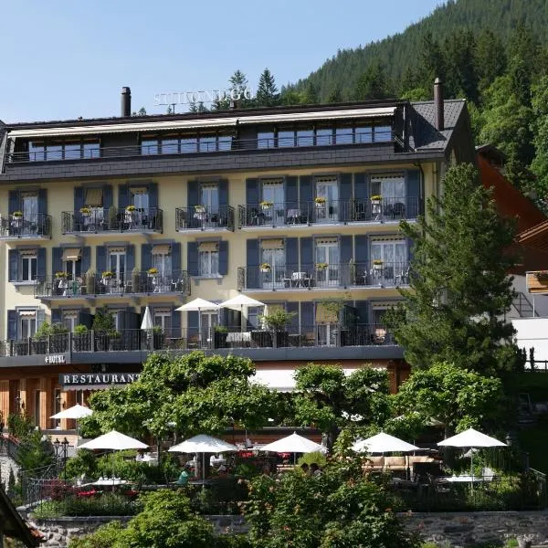 Hotel Schönegg, hotel u gradu Vengen