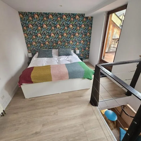Maison classée dans le centre historique de Liège, viešbutis mieste Lježas