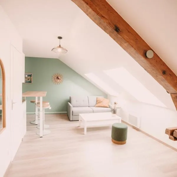 Appartement spacieux, Charmant quartier Médiéval โรงแรมในเบอซองซง