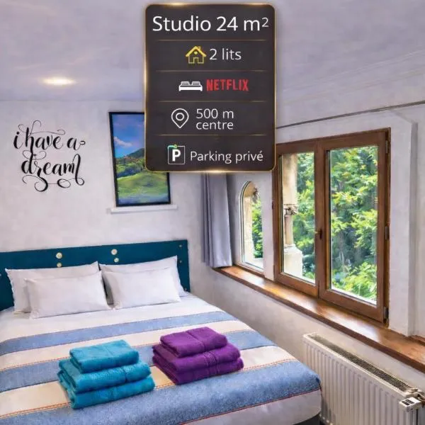 Studio cosy classé 24m2 proche centre, Netflix, parking privé – hotel w mieście Albertville