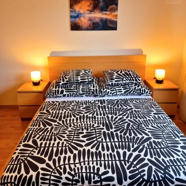 City Center Apartments - Moderna Brno Římské náměstí I, hotel in Brno