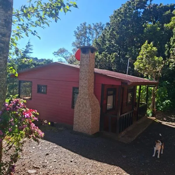 Las Bromelias Lodge, מלון בPaso Macho