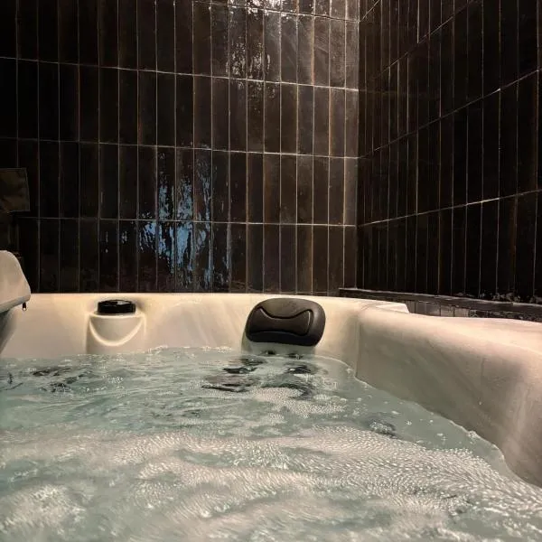 Hydra Haven l Sauna & Jacuzzi l Luxury Wellness Loft, hotel a Katowice