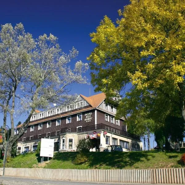 Spa Hotel Bily Horec, hotel in Harrachov