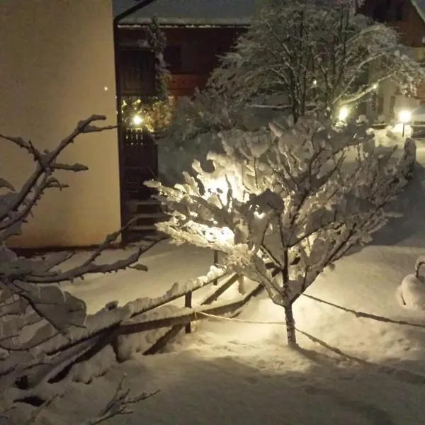 Casa Guido e Laura、ポッツァ・ディ・ファッサのホテル