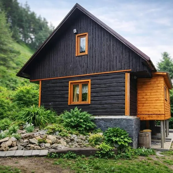 Chata Turík: Turík şehrinde bir otel